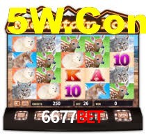 6677Bet